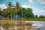  Photo Credit: Photo by Gowtham AGM on Unsplash