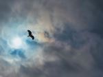  Photo Credit: Photo by DICSON on Unsplash