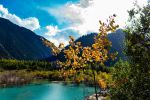  Photo Credit: Photo by Vitaly Eroshenko on Unsplash