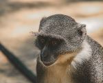  Photo Credit: Photo by Gideon Karanja on Unsplash