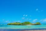  Photo Credit: Photo by Ken kahiri on Unsplash