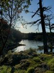Ruckle Park - Photo Credit: Photo by Angelik Ifurung on Unsplash