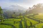 Mount Agung in the sunrise - Photo Credit: Photo by Geio Tischler on Unsplash
