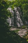  Photo Credit: Photo by Nathaniel Krum on Unsplash
