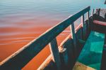  Photo Credit: Photo by aliunix on Unsplash