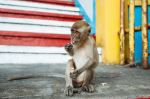  Photo Credit: Photo by Boudewijn Boer on Unsplash