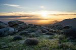  Photo Credit: Photo by Patrick Zeef on Unsplash