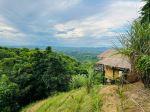  Photo Credit: Photo by Iraj Ishtiak on Unsplash