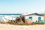  Photo Credit: Photo by Louis Hansel on Unsplash