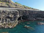  Photo Credit: Photo by Tropic Alizé on Unsplash