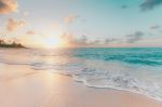  Photo Credit: Photo by Sean Oulashin on Unsplash
