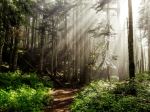 Bald Mountain - Photo Credit: Photo by Dale Nibbe on Unsplash