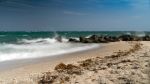  Photo Credit: Photo by Richard Sagredo on Unsplash