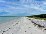 Honeymoon Island State Park - Photo Credit: Photo by Anita Denunzio on Unsplash