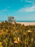  Photo Credit: Photo by Alec Krum on Unsplash