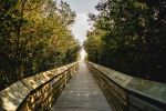  Photo Credit: Photo by Obed Esquivel-Pickett on Unsplash