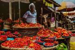  Photo Credit: Photo by Omotayo Tajudeen on Unsplash