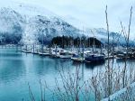 Douglas Harbor - Photo Credit: Photo by Kathrine Coonjohn on Unsplash