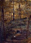  Photo Credit: Photo by Hill Country Camera on Unsplash