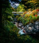 The Flume, Flume Gorge - Photo Credit: Photo by Greg Willson on Unsplash