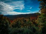  Photo Credit: Photo by Greg Willson on Unsplash