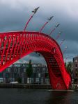 Python Bridge (Hoge Brug) - Photo Credit: Photo by Florian Dormann on Unsplash