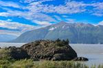 Potter Marsh - Photo Credit: Photo by Meg von Haartman on Unsplash