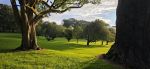 Cornwall Park - Photo Credit: Photo by Gerad Sudarshane on Unsplash