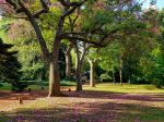 Jardín Botánico Carlos Thays - Photo Credit: Photo by Christian von Koenig on Unsplash