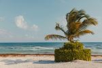  Photo Credit: Photo by Jake Nackos on Unsplash