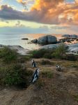 Boulders Beach - Photo Credit: Photo by Austin Distel on Unsplash