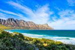 Dappat Se Gat - Photo Credit: Photo by Cara Rodriguez on Unsplash