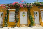Getsemani - Photo Credit: Photo by Jaime Bishara on Unsplash