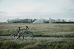  Photo Credit: Photo by Febiyan on Unsplash