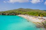 Grote Knip - Photo Credit: Photo by Jorgen Hendriksen on Unsplash