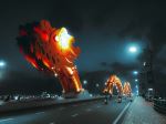 Dragon Bridge - Photo Credit: Photo by Andrea De Santis on Unsplash