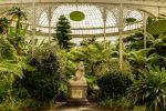 Glasgow Botanic Gardens - Photo Credit: Photo by m c on Unsplash