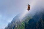  Photo Credit: Photo by Joseph Corl on Unsplash