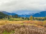  Photo Credit: Photo by Robert Boston on Unsplash