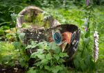 Potlatch Totem Park - Photo Credit: Photo by Joseph Corl on Unsplash
