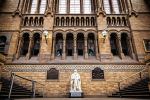 Natural History Museum - Photo Credit: Photo by Bruno Martins on Unsplash