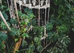 Kew Botanical Gardens - Photo Credit: Photo by Max Letek on Unsplash