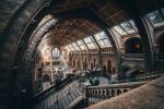 Natural History Museum - Photo Credit: Photo by Joshua Rawson-Harris on Unsplash