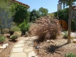 Westwood - Photo Credit: Photo by Linda Pomerantz Zhang on Unsplash