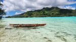  Photo Credit: Photo by Nico Smit on Unsplash