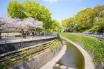 Nagasaki Peace Park - Photo Credit: Photo by Zion C on Unsplash