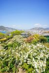 Glover Garden - Photo Credit: Photo by Zion C on Unsplash