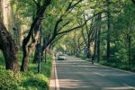  Photo Credit: Photo by Cheng Shi Song on Unsplash