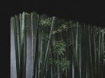  Photo Credit: Photo by Bruce Kun on Unsplash