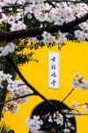  Photo Credit: Photo by Texco Kwok on Unsplash